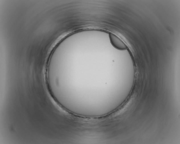 X0000113990901200910021007