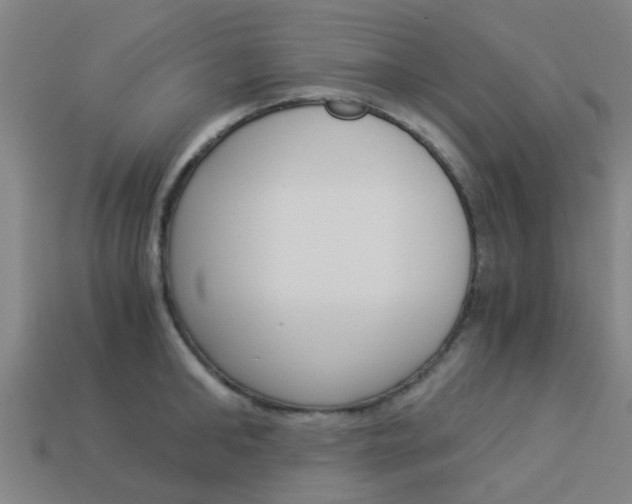 X0000113990902200910021007