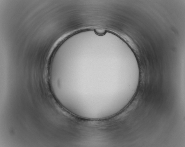 X0000113990904200910021007