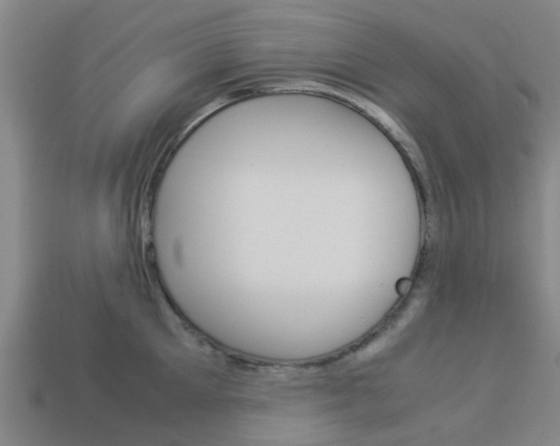 X0000113990905200910021007