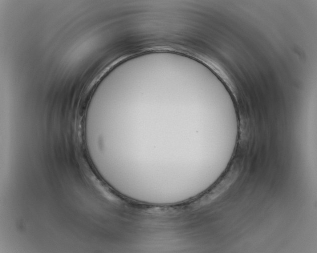 X0000113990906200910021007