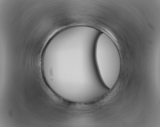 X0000113990907200910021007