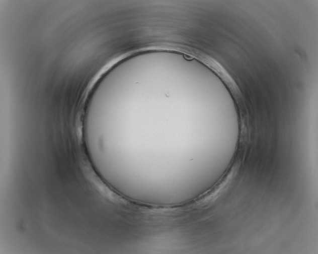 X0000113990908200910021007