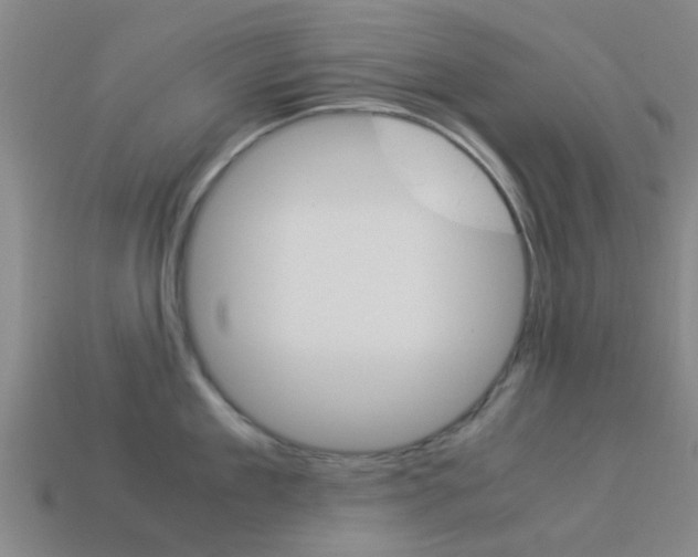 X0000113990909200910021007