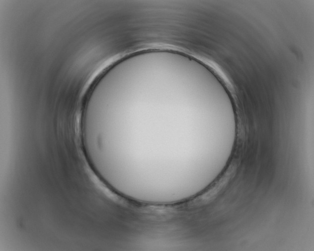 X0000113990910200910021007