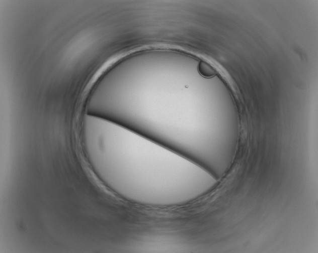 X0000113990911200910021007