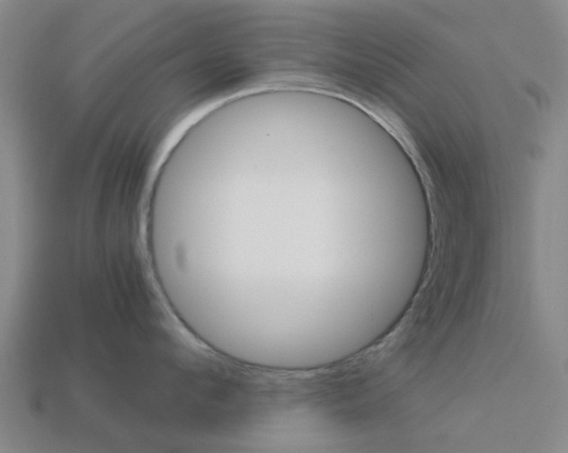 X0000113990912200910021007
