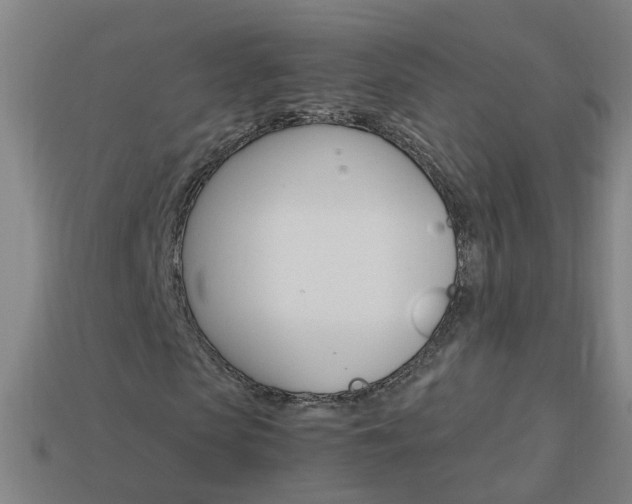 X0000113990913200910021006