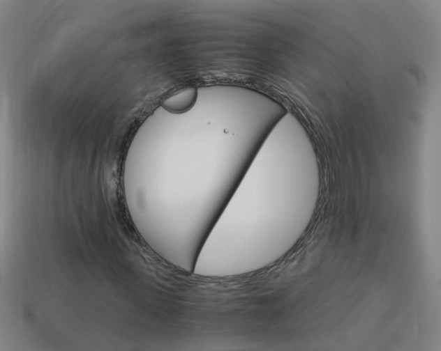 X0000113990915200910021007