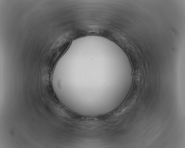 X0000113990916200910021007