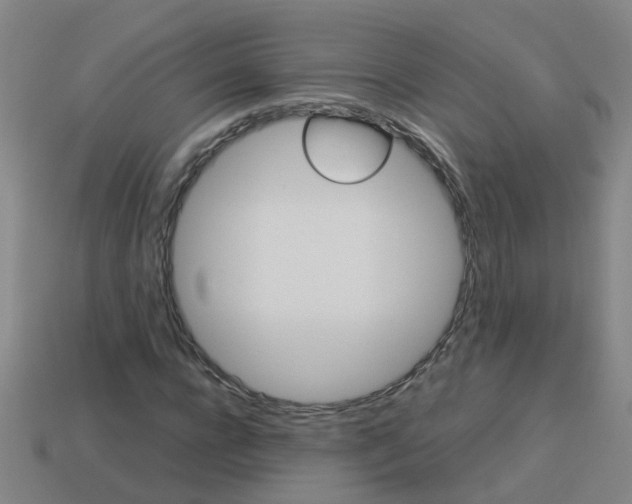 X0000113990920200910021007