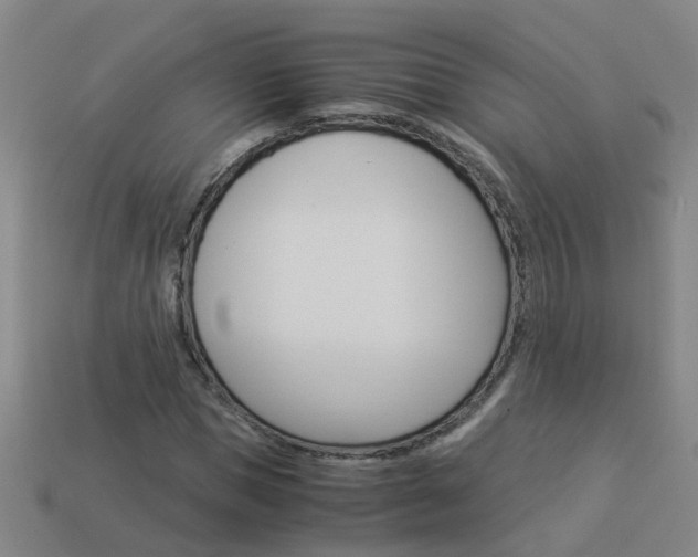 X0000113990921200910021007