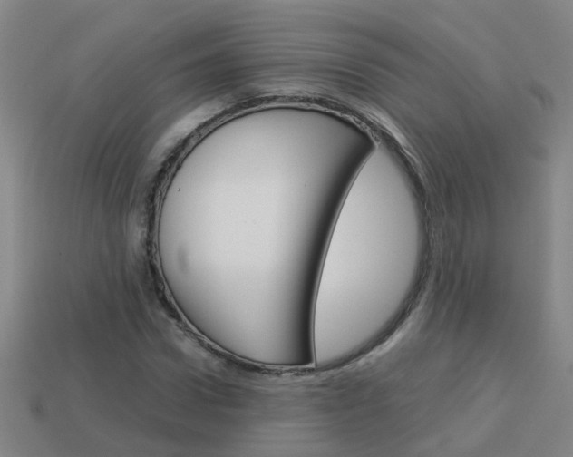 X0000113990922200910021007