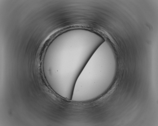X0000113990923200910021007