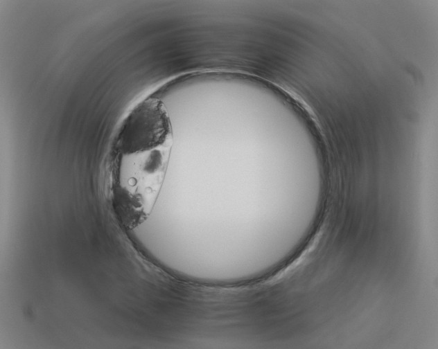 X0000113990925200910021007