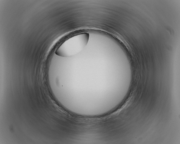 X0000113990926200910021007
