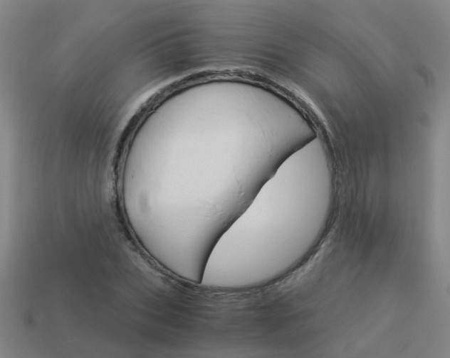 X0000113990927200910021007