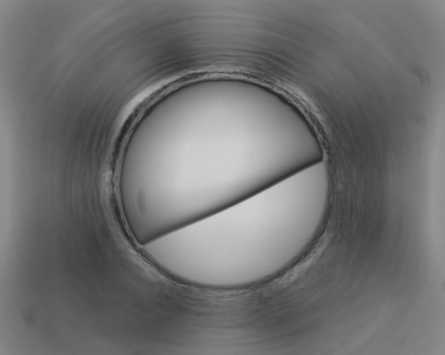 X0000113990928200910021007