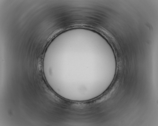 X0000113990929200910021007
