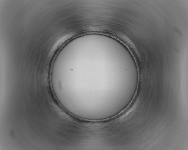 X0000113990930200910021007