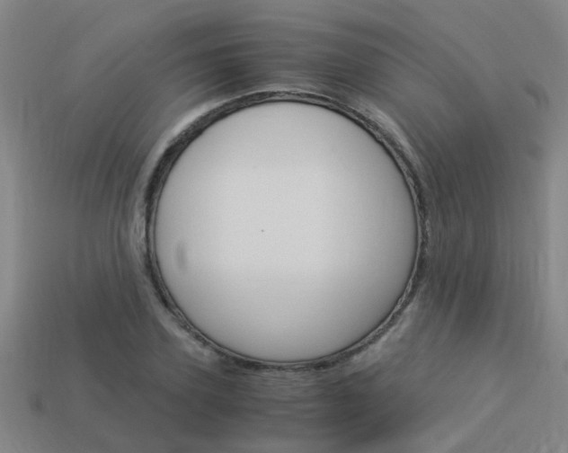 X0000113990931200910021007