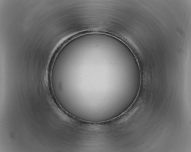 X0000113990932200910021007