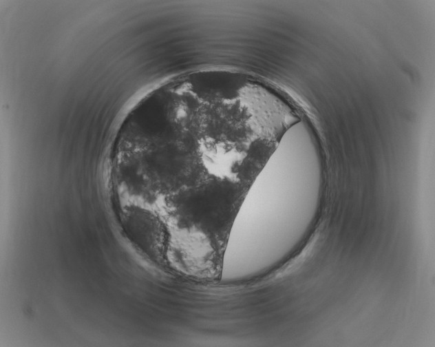 X0000113990933200910021007