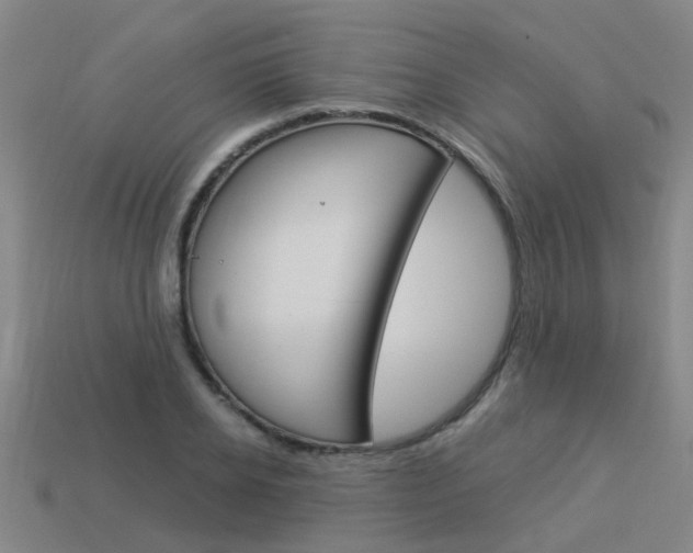 X0000113990934200910021007