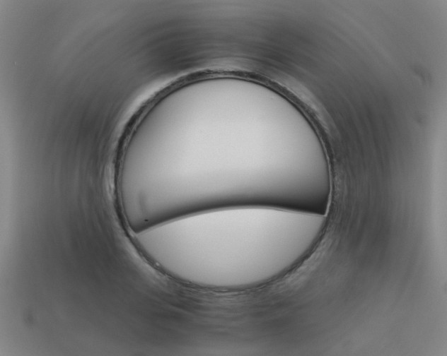 X0000113990935200910021007
