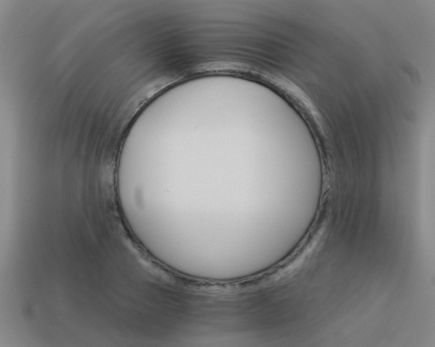 X0000113990937200910021007