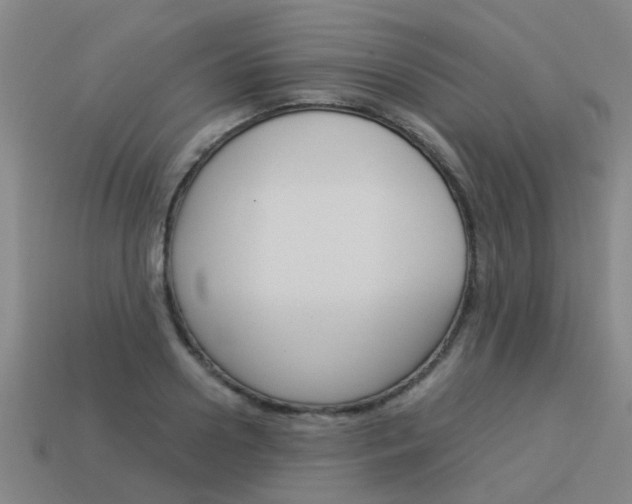 X0000113990938200910021007