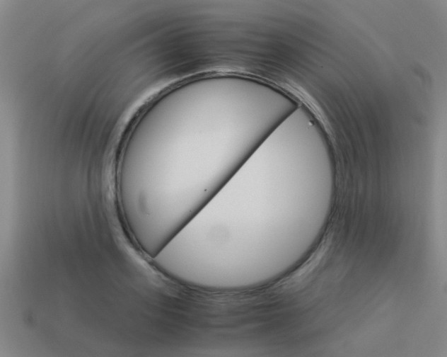 X0000113990939200910021007