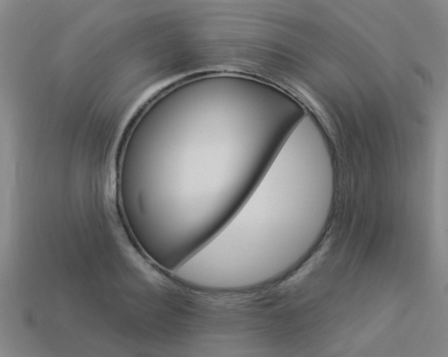 X0000113990940200910021007