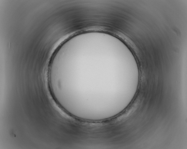 X0000113990941200910021007