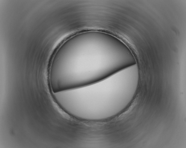 X0000113990942200910021007