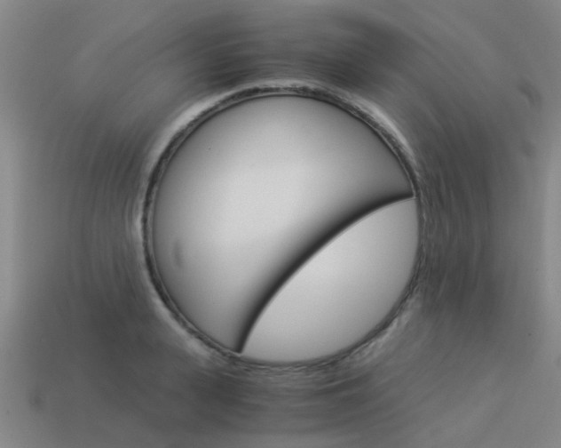 X0000113990943200910021007