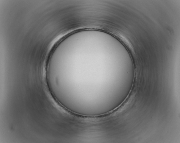 X0000113990944200910021007