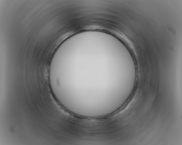 X0000113990945200910021007