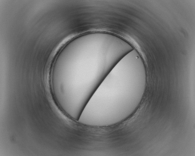 X0000113990947200910021007