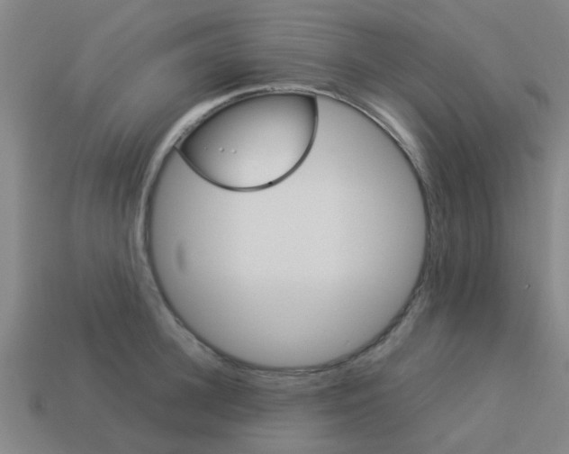X0000113990948200910021007