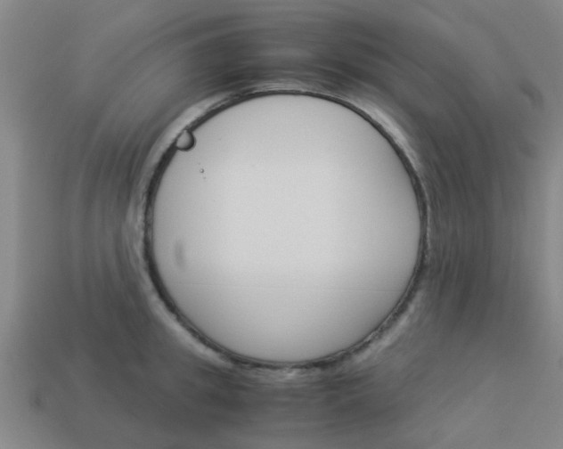 X0000113990949200910021007