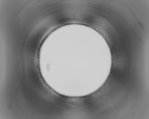 X0000113990950200910021007