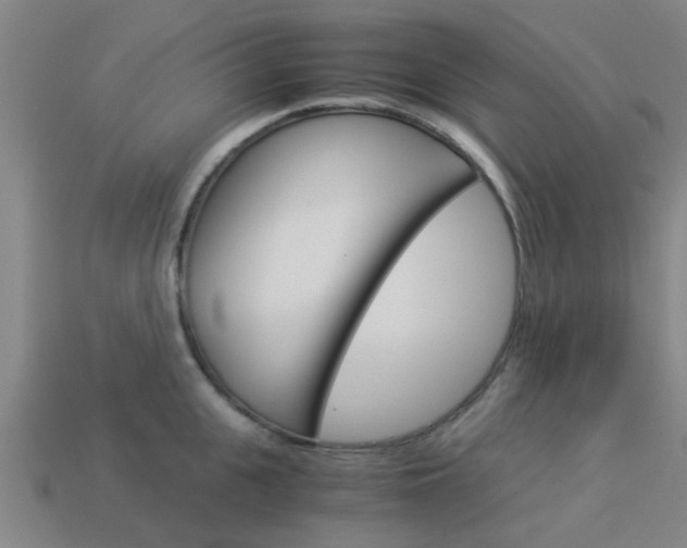 X0000113990951200910021007