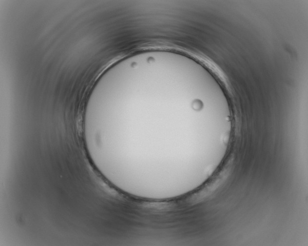 X0000113990953200910021007