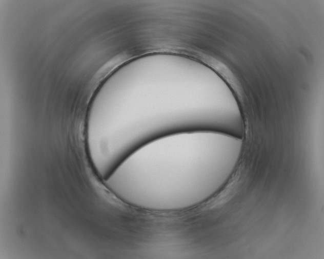 X0000113990954200910021007