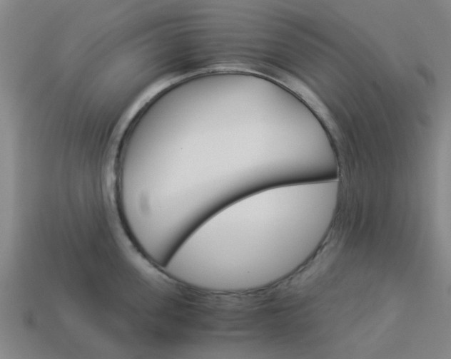 X0000113990955200910021007
