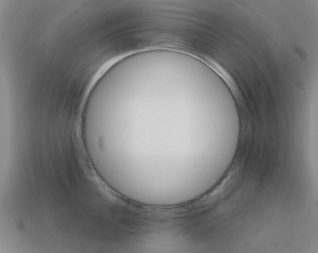 X0000113990956200910021007