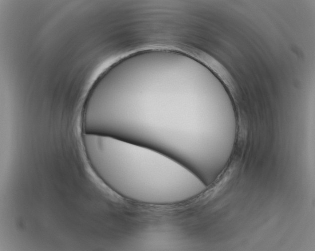 X0000113990958200910021007