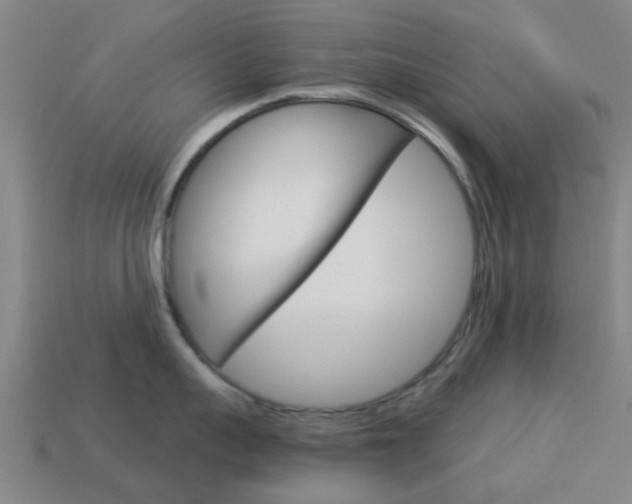 X0000113990959200910021007