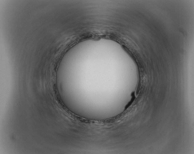 X0000113990961200910021006